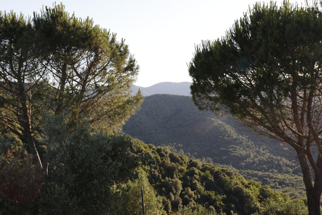Locanda Mossa Dei Barbari Buriano  Exteriör bild